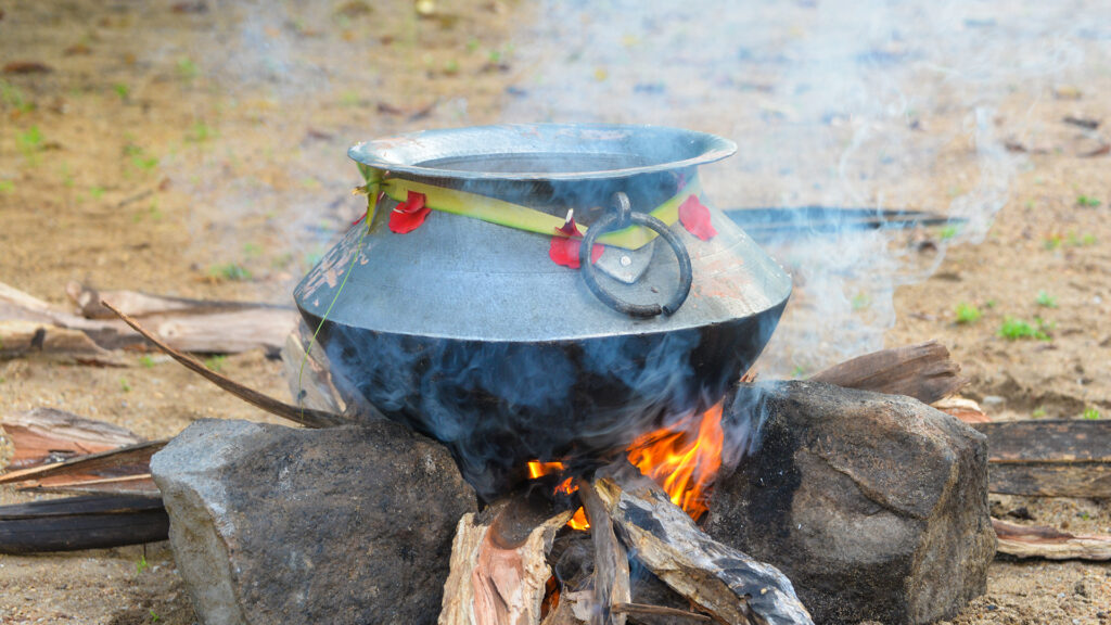 pongal rice